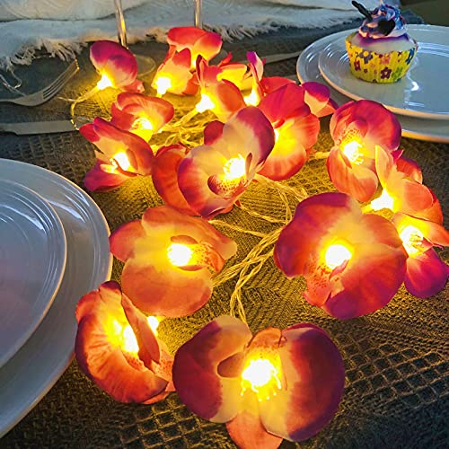 Riaxuebiy Künstliche Blumen Lichterkette,Phalaenopsis Lichterketten Lila Orchidee Girlande Batteriebetrieben Blumen Girlande Lichter für Erntedankfest,Halloween,Weihnachten,Party (3m/20led)