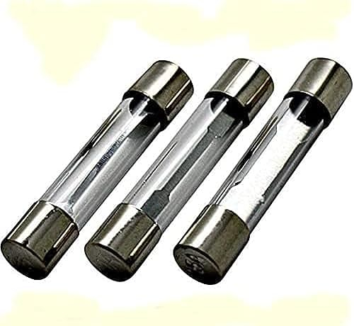 Lot de 20 fusibles en verre pour appareils électriques - 6 x 30 mm - 5 A 10 A 15 A 20 A 25 A 30 A 40 A 250 V (40 A)