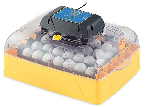 Brinsea Ovation 28 Advance Brutgerät – Automatischer Inkubator für Hühner-, Wachtel- & Enteneier – digitale Temperatur- & Feuchtigkeitsanzeige – vollautomatische Wendung – hygienisch mit Biomaster | Vollautomatische Brutmaschine mit digitaler Temperatur- & Feuchtigkeitskontrolle sowie automatischer Eierwendung
