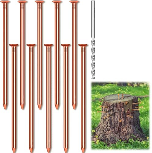 Giyofom 10 Clavos de Cobre para Eliminar Raíces de Tocones de Árboles, 3,15 Pulgadas de, Clavos de Cobre Puro A Granel con Taladro, Puntas para Eliminar Tocones.