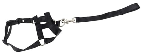 Museruola per Bocca del Cane con Corda da Traino Collare Regolabile per Testa di Cane Cavezza Impedisce di Mordere Abbaiare Scappare Controllo Sicuro per L'addestramento di (S)
