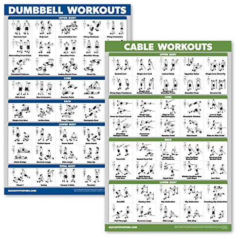 Palace Learning 2 Stück: Hantel-Workout-Poster + Kabelmaschine, Übungsroutine, 2 Stück (laminiert, 45,7 x 61 cm)