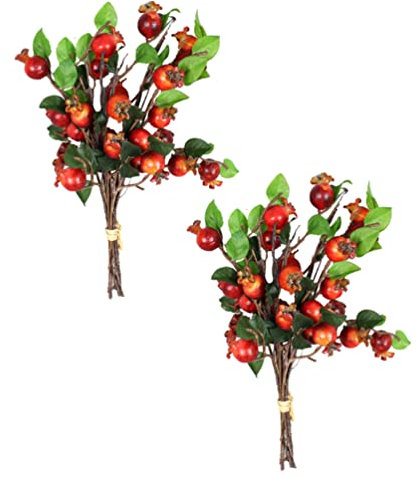 Angoily 2 Stücke Künstliche Granatapfel Niederlassungen Lebensstiler Granatapfel Baum DIY Granatapfel Zweige Weihnachtsfeier Home Tischkranz Vase Anordnung Granatapfel Zweig