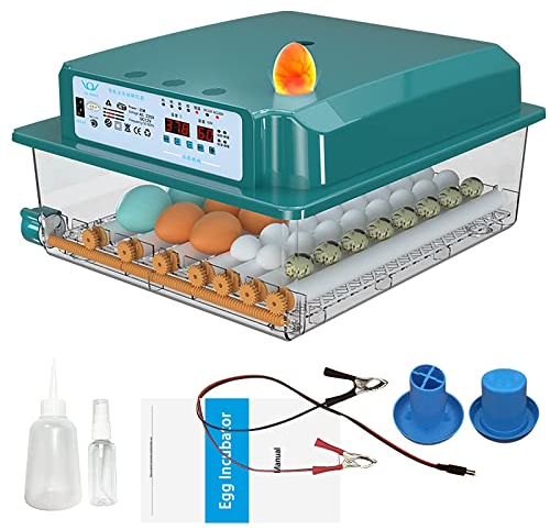 Brutautomat Vollautomatisch Inkubator Hühner Brutkasten Hühner mit Automatischem Rotationssystem und Temperaturkontrolle,Egg Incubator Brutmaschine für 36 Eier (36)