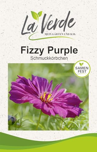 Blumensamen Fizzy Purple Cosmee Portion