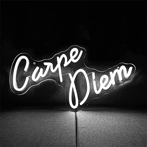 NAKEAH Carpe Diem Letrero de neón Led Luz de Modelado Letrero de Letras Luminosas Panel de acrílico Luz Decorativa de neón, 43X29cm