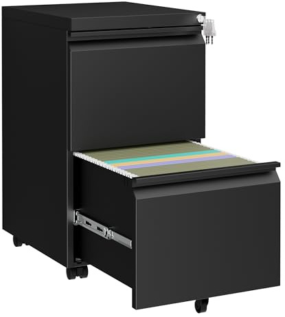 LVSTEEL Mobile Filing Cabinet, Lockable 2 Drawers with Suspension File Hanging Rails, With 4 Keys, Lockable Office Drawers Cabinet for Letter/Legal/A4 Size, Black