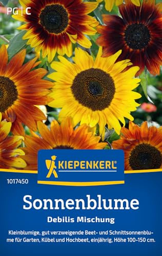Kiepenkerl Sonnenblumensamen Debilis Mischung 1017450, Blumensaat | Kleinblumige und pflegeleichte Blumensamen für Beete & Kübel, Blumenwiese, als Schnittblume, einjährig