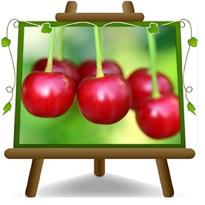 EURO PLANTS VIVAI Ciliegio Acido Visciola di Pagno su Vaso: ø 24/26 cm. - Pianta da Frutto Antico - *Altezza: 160~180 cm. - Età 4 Anni