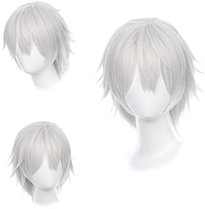 Gairyan Silber Grau Kurze Anime Perücke Cosplay Wig Damen Herren Kinder Unisex Synthetische Gerade Perücken Halloween Kostüm Karneval