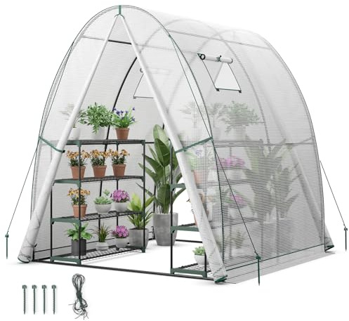 GOPLUS Gewächshaus, Tomatengewächshaus mit PE-Abdeckung & Metallrahmen, begehbares Foliengewächshaus mit Aufrollfenster & Aufrolltor, Treibhaus für Blumen, Pflanzen, 181 x 181 x 200 cm (Transparent)