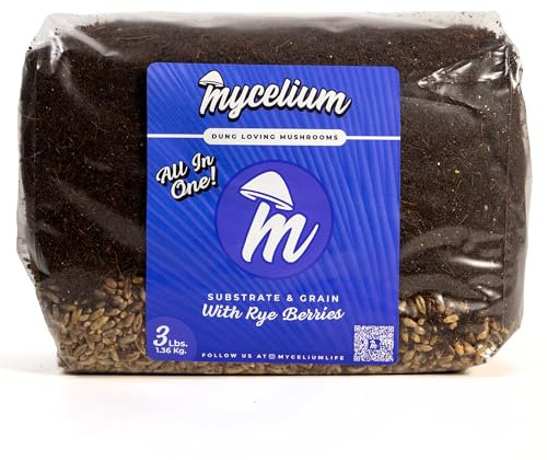 Mycelium 's Superior Dung-Loving - Mezcla de sustrato de hongos y bayas de centeno, 3 libras todo en uno, fórmula de coco, vermiculita y yeso, preesterilizada y lista para un fácil cultivo en el hogar
