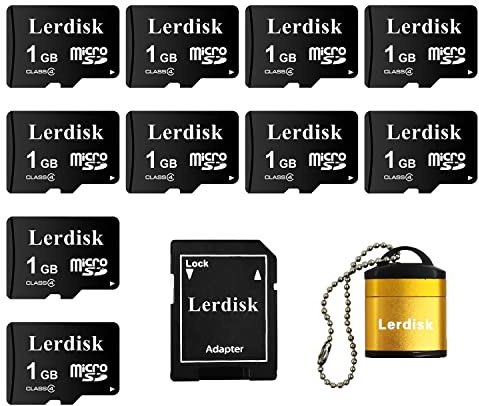 Lerdisk Confezione da 10 Schede Micro SD 1GB Classe 4 | Per Lettori MP3, Telefoni Obsoleti & Dispositivi SD | IP65, Antishock e Certificato CE