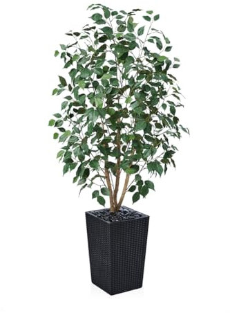 VeriNatural Ficus Künstlich 150cm - Kunstpflanze Groß mit Echtholzstamm, Schwarze Gewebter Pflanzer, UV-beständiger Künstlicher Baum für Innen & Außen - Perfekt für Wohnzimmer, Balkon, Gartenn, VN129
