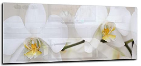 Canvasfly 100x40 Wandpaneele für Küche Deko-Spritzschutz für Küchenrückwand Glas Bilder Gehärtet Küchen-Deko Glasplatte aus Vorgespanntem Glas Küchenrückwandplatte Orchidee