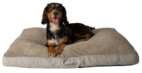 Scruffs Harvard Memory Foam Orthopädische Hundematratze für Hunde mit Gelenkschmerzen (XL)