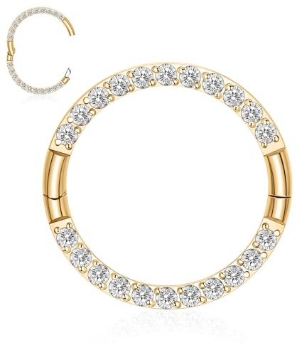 Titan Nasenbügel Ring Halbverschluss Neuer Sicherer Haken Scharnier Segment Ring Nahtloser Klickerring 18G 16G Septum Daith Conch Knorpel Helix Rook Tragus Piercing Schläfer Ohrring (2024 UPDATE)