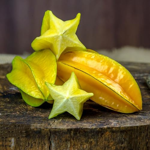 semi di carambola - semi di Averrhoa carambola - giardino per il giardino colonnare resistente rari da colonnari comprare 125pcs