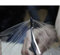 Hohofilm, Pellicola protettiva per vernice PPF, in vinile, per riparare l'auto, trasparente, lucida e antigraffio, 152 x 100 cm