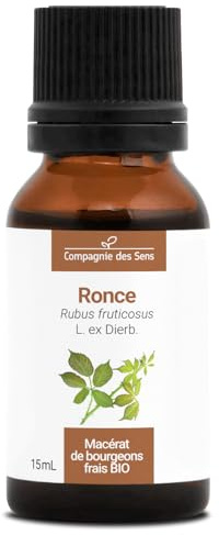 Zarzamora BIO – 15 mL (Rubus fruticosus) – Macerado concentrado de yemas frescas