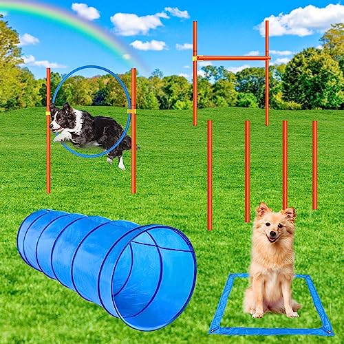 XiaZ Agility-Ausrüstung, Hinderniskurse, Starter-Set, Haustier-Outdoor-Spiele für den Hinterhof, inklusive Hundetunnel, Springring, hohe Sprünge, 4 gewebte Stangen, Pausenbox mit Tragetasche