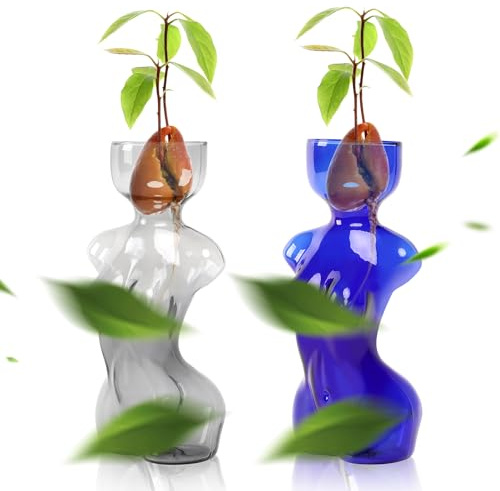 CYZglass Propagation Vases for Plants Plant Propagation Jars Unique Body Avocado Vase Glass Planter Perfect for Seed Starting Water Rooting and Home Decor Gift for Father