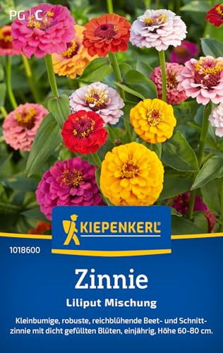 Kiepenkerl Zinniensamen Liliput Mischung 1018600, Blumensaat | Wuchshöhe 60-80 cm, Inhalt für 50 Pflanzen, kompakt, einjährig
