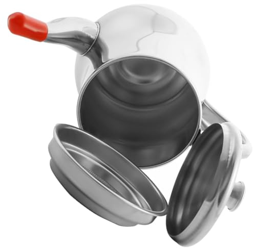 HEALSOPTHY Olla de Aceite de Acero Inoxidable 250ml Filtro y Diseño a Prueba de Fugas para Uso en Cocina y Almacenamiento de Aceite Usado