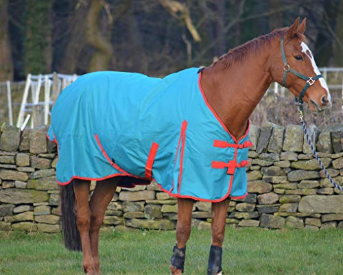Turners Leichte, wasserdichte Pferdedecke, Regendecke für Pferde und Shetland Ponys, Pferde Zubehör, 100 g