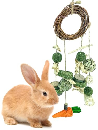 Junhonze Giochi Per Conigli - Giochi Per Porcellini D'India - Criceto Accessori, Set Di Giocattoli Per La Dentizione Da Appendere Adatto A Conigli, Porcellini D'India, Criceti E Altri Piccoli Animali