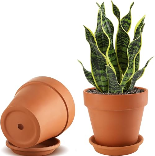 Ysditrk Lot de 2 Grands Pots de Fleurs en Terre Cuite de 20,3 cm avec Trous de Drainage et soucoupes pour Plantes d'intérieur