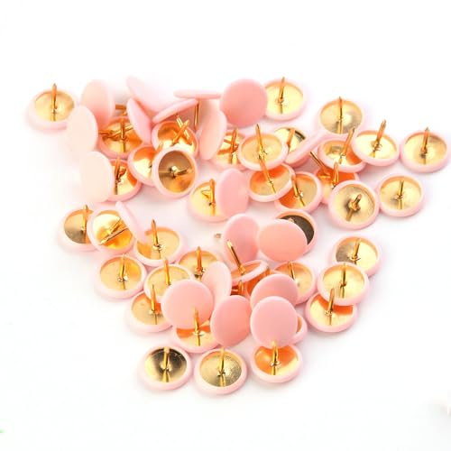 Tryckstift ritstift stift stift karta handtag ritstift, med plasthuvuden och stålpunkter för kork tavla dekorativ anslagstavla kontor karta 100 stycken (10 x 10 mm) 10x10mm Rosa