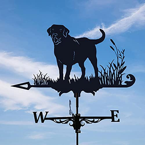 CAZARU Form von Hahn, Pferd, Hund, Drache, Metall, Eisen, Kunst, Wetterfahne, Gartenpfahl, drehbar, Windrichtungsmesswerkzeuge für Garten, Paddock, Dach, Hof, Schuppen, mit Gartenstange, B