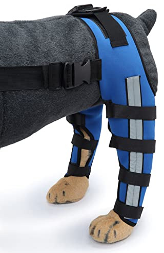 Rodillera para Perro, Soporte para la Pierna Trasera del Perro, Soporte Transpirable para Reducir el Dolor, Protección de Las Articulaciones, Protector de Piernas para Perros, Soporte Trasero(S)