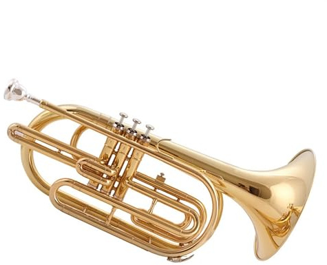 Marschposaune Aus Lackiertem Goldmessing Mit Drei Klappen, B-Stimmung, Koffer Und Zubehör Posaune für Anfänger