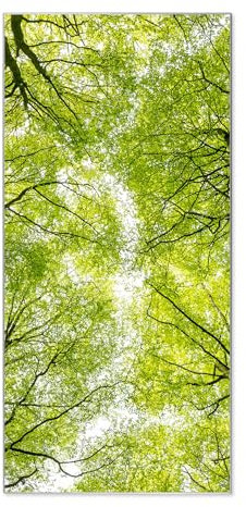 banjado® Magnettafel 37 x 78cm / Magnetwand aus Metall/Magnetpinnwand als Memoboard/Pinnwand Magnettafel Küche, Büro, Kinderzimmer inkl. 4 Magnete & Montageset - Motiv Zwischen Bäumen