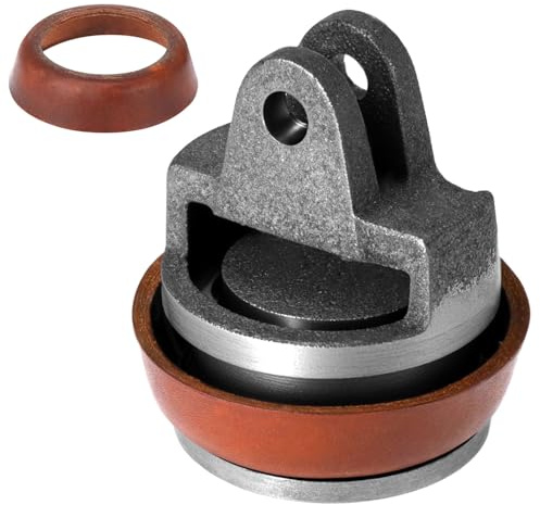 QWORK® Ersatzkolben für Schwengelpumpen, Brunnenpumpe mit 1 Zusätzlichem Dichtungsring– Passend für Typ 75 Gartenpumpe
