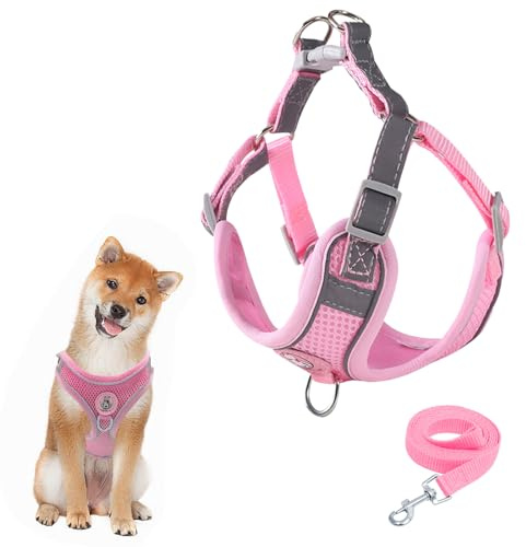 Harnais pour chien avec laisse - Harnais de poitrine respirant en maille respirante pour chiens de petite, moyenne taille et chiots - Rembourré et doux - Réglable - Harnais réfléchissant - Rose