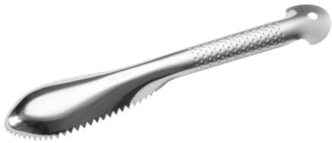 TOPBATHY Outil Poisson Acier Inoxydable Cuisine Ergonomique Nettoyeur Écailles Double Rangée Pratique