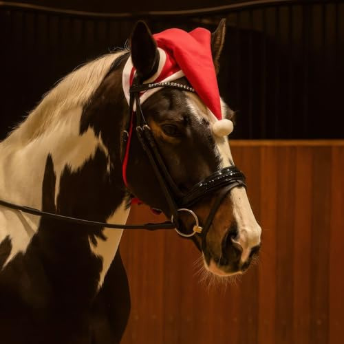 NETPROSHOP Pferde Weihnachtsmütze Weihnachts Cap Zipfelmütze mit weichem Kunstpelz Rot Pony oder Full, Groesse:Full