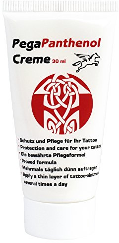 Pegasus Pro