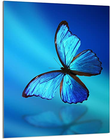 DarHaus Herdabdeckplatte Einteilig 40x52 cm Ceranfeld Abdeckung Glas Spritzschutz Abdeckplatte Glasplatte Herd Ceranfeldabdeckung Deko Gehärtetes Glas Schmetterling Blau