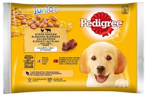 Pedigree Junior Choice of Flavours Nassfutter für Welpen Aller Rassen mit Rindfleisch und Reis in Gelee, Beutel 4x100g