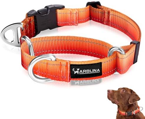 Arblina Martingale Hundehalsband, Reflektierendes Zugstopp Halsband Hunde für Große Mittlere und Kleine Hunde, Nylon Zughalsband mit Stopp für Hunde Whippets, Greyhounds, Saluki, Orange,M