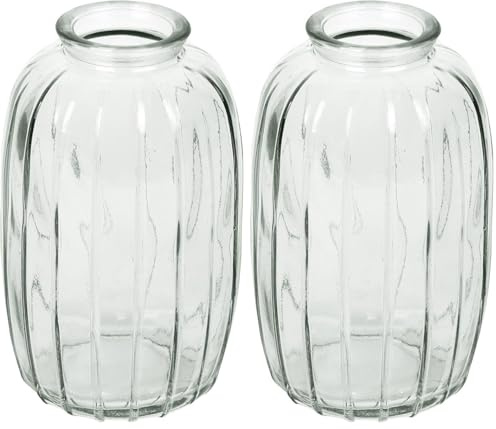 Talking Tables Vase Soliflore en Verre Transparent pour Fleurs Décoration Élégante Centre de Table Mariage Rebord de Fenêtre Fêtes Jardin Dîner d'Été Cheminée Cadeau Hauteur 12 cm (Lot de 2)