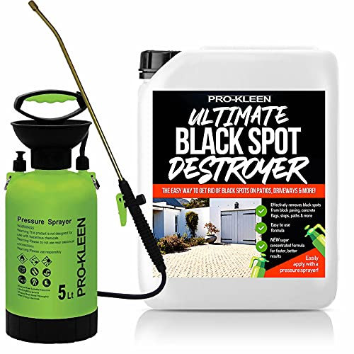 Pro-Kleen Patio Cleaner Garden Pump Pressure Sprayer With Brass Lance - Spare Seal Kit - Black Spot Destroyer 5 Litres - Also For Weed Killer, Garden Pesticides, Herbicides, Insecticides, (5 Litre)