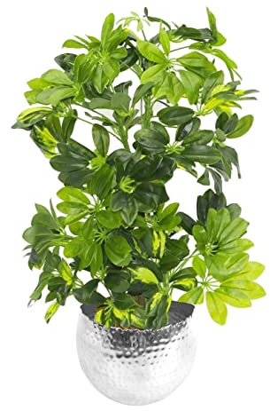 Leaf Design UK Artificial Realistic Potted House Plants, Golden Capella - Silver, 65 cm