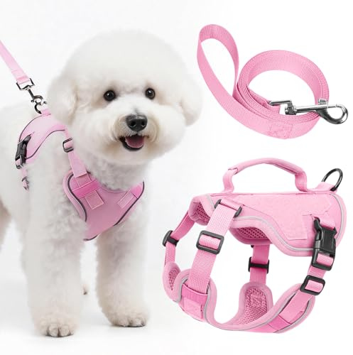 Ledeak Hundegeschirr mit Leine Set, Anti Zug Reflektierend Atmungsaktiv Geschirr, Sicherheitsgeschirr Hund Ausbruchsicher, Verstellbar Brustgeschirr für Extra Kleine/Kleine Hunde (Rosa, XXXS)