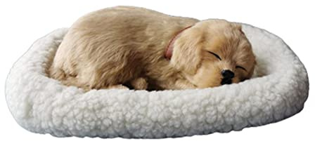 Gonetre Realistische Schlafende Katzenspielzeugspielzeugplüschgefüllte Tierpuppe mit Atemsimulation Weiche Kuschelige Lebensechte Begleiterin für Wohnkultur Künstliches Wollmaterial (Labrador Hund)