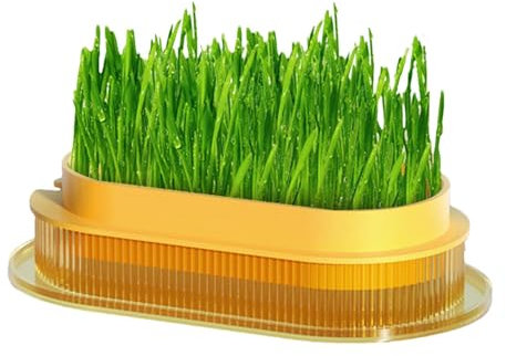 lisutupode Katzengraskasten, Katzengras-Pflanztopf | Pflanzgefäß für Katzengras - Praktischer Katzengras-Wachstumstopf, hydroponischer Katzengras-Pflanzkasten für den Haushalt